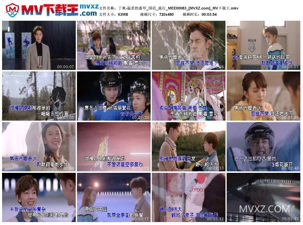 丁爽-温柔的盔甲_国语_流行_MEE00083